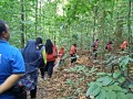 Tn 0988 IMG20151107150743